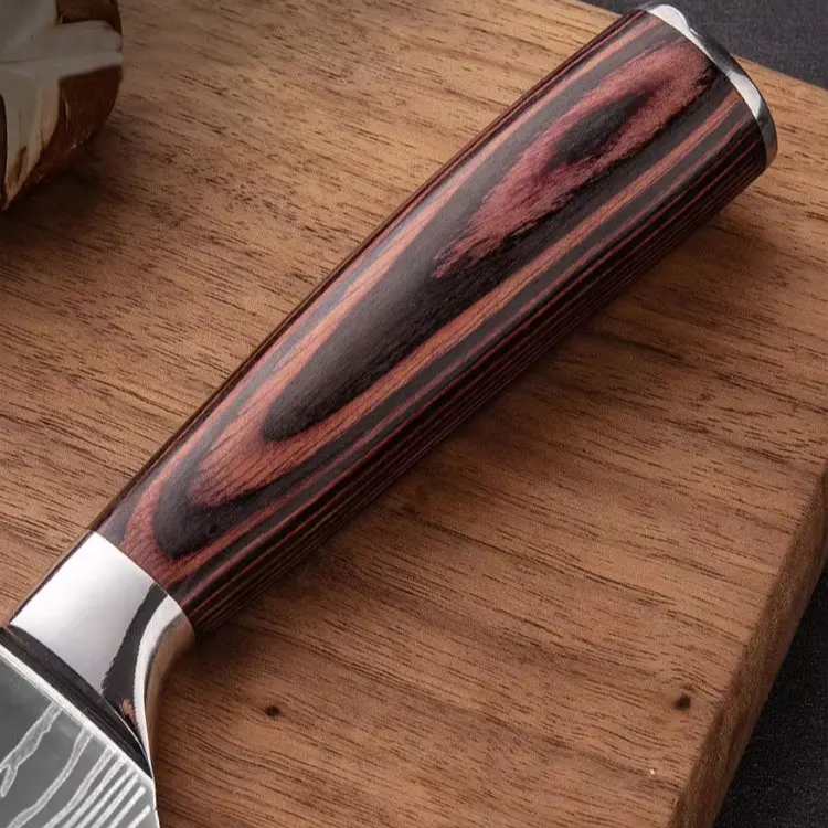 10 - Piece Premium Japanese Knife Set